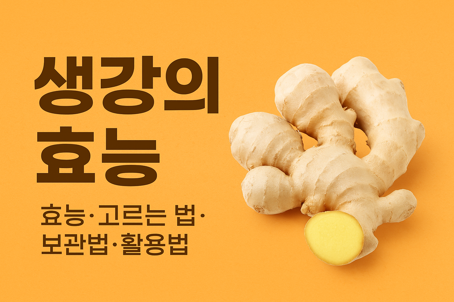 생강의 효능