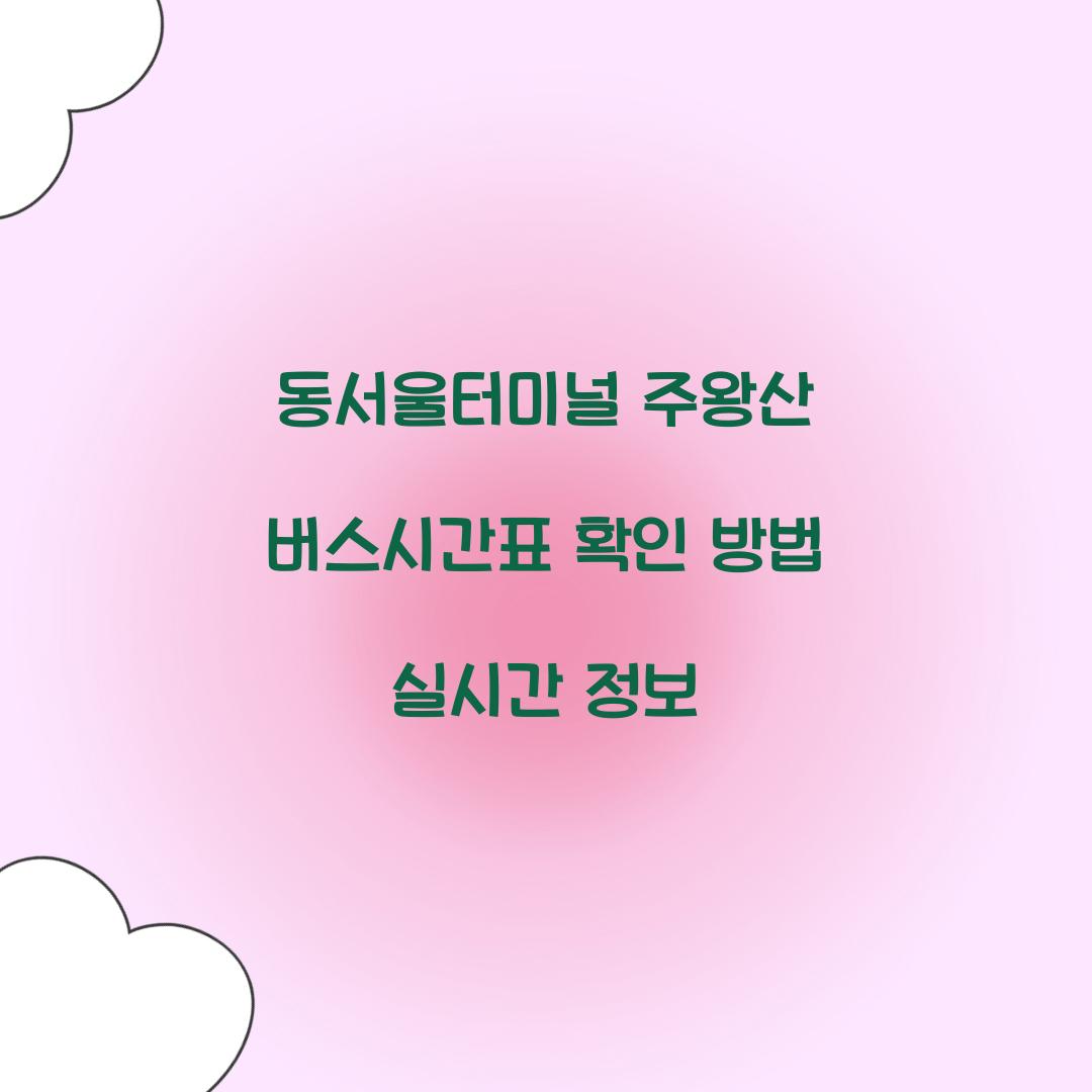 동서울터미널 주왕산 버스시간표