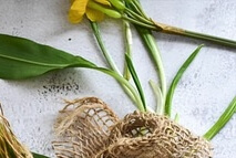 40대 여성 필수 영양제