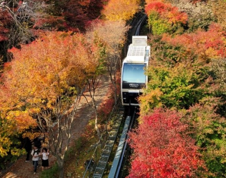 화담숲 입장권&amp;#44; 모노레일 예약 안내