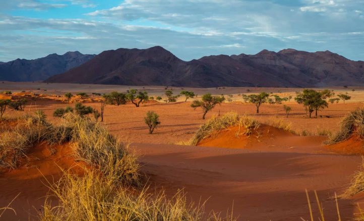 나미비아 영화로 본 아프리카 지역 특색 관련 사진