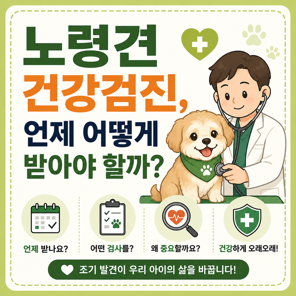 노령견 건강검진