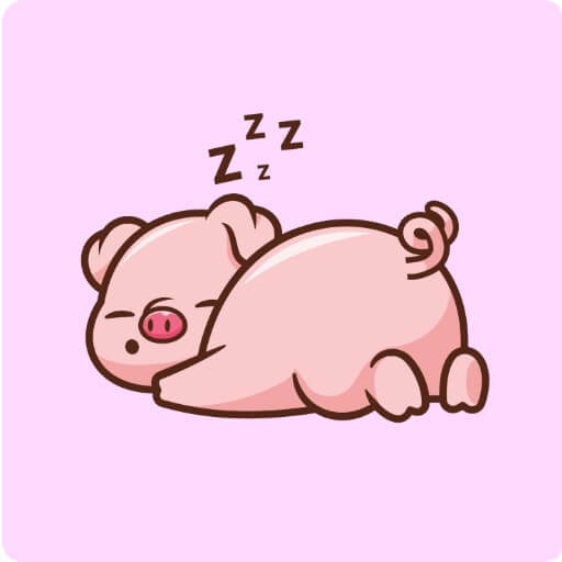 돼지가 누워 있는 모습