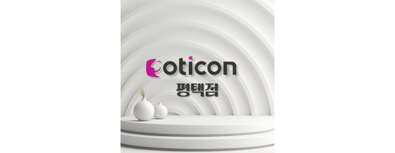 평택시 보청기