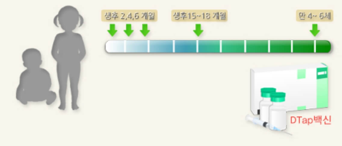 백일해 예방접종 종류, 안정성 (아기와 임산부를 위한 정보)
