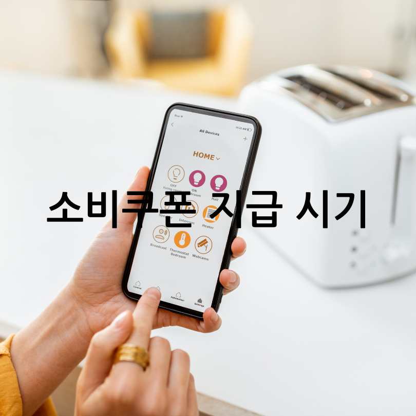 민생회복 소비쿠폰 신청 안 하면? 지급보류