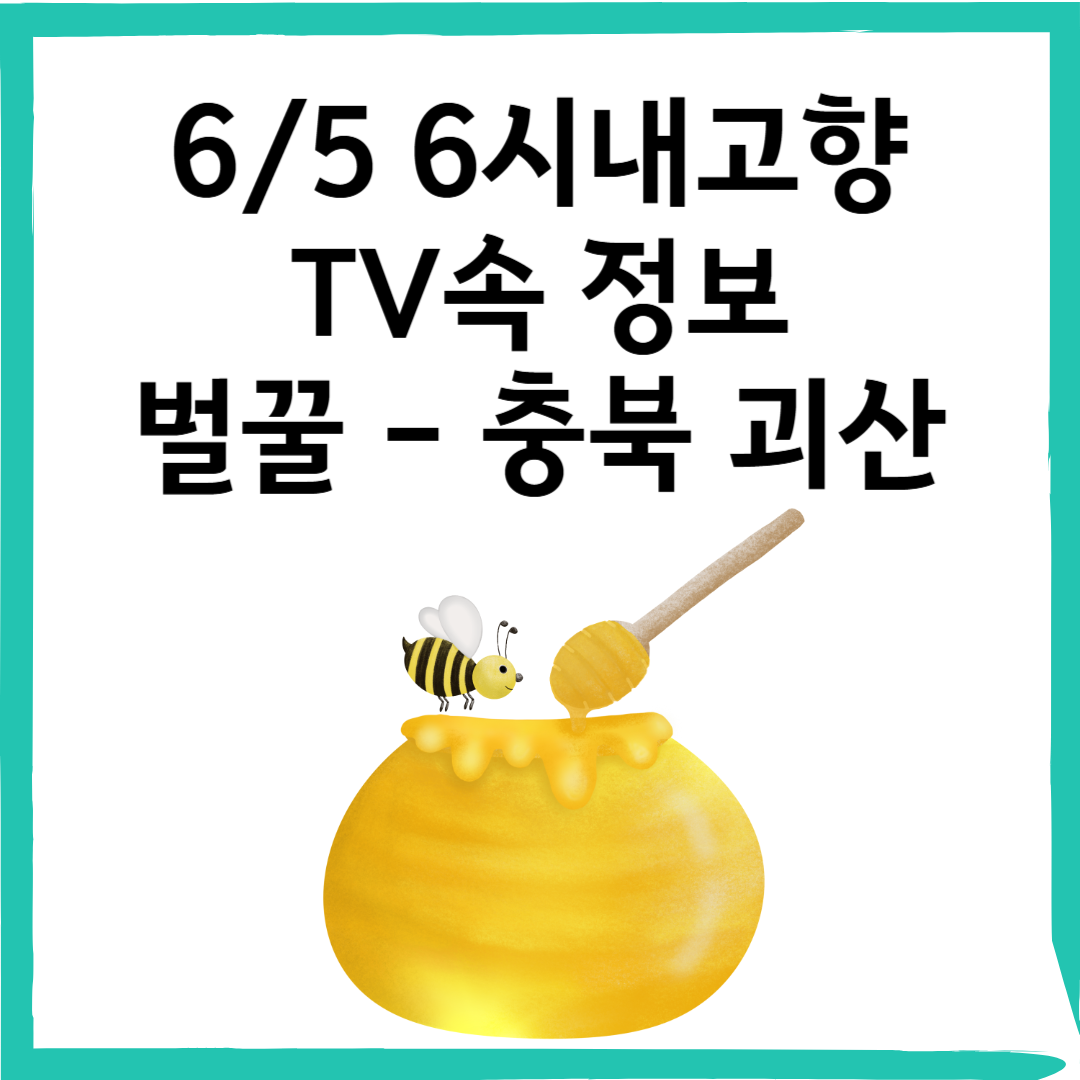 6/5 6시내고향 충북 괴산 벌꿀 구매처 – 사계닮은꿀 허니버블공방