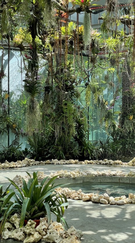 가든스 바이 더 베이 플로러 판타지