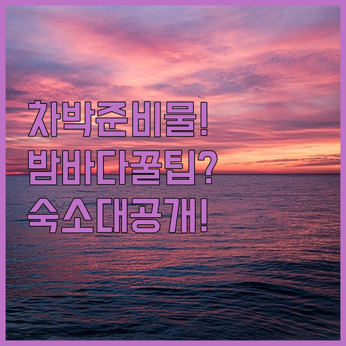 양양 밤바다 차박 완벽 준비물부터 해..