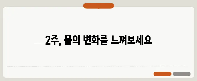탄단지 40:30:30 식단표로 2주 만에 체중 감량에 성공하세요!