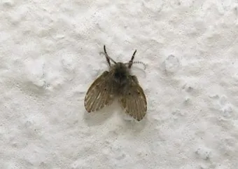 여름철 욕실 세균 곰팡이 청소 끝 관리법과 예방 팁 완벽 위생 가이드_1