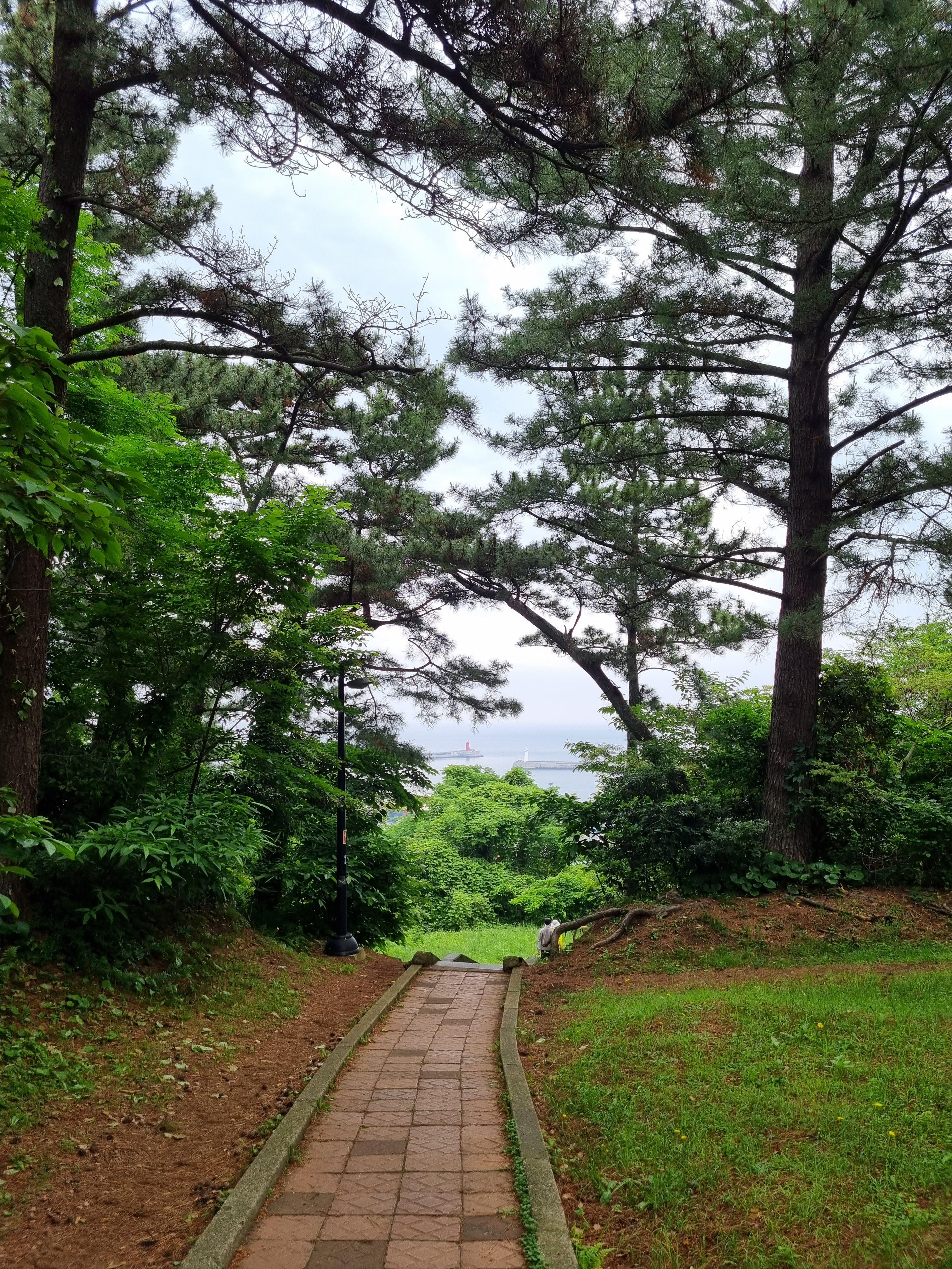 Jeju Olle Trail 18