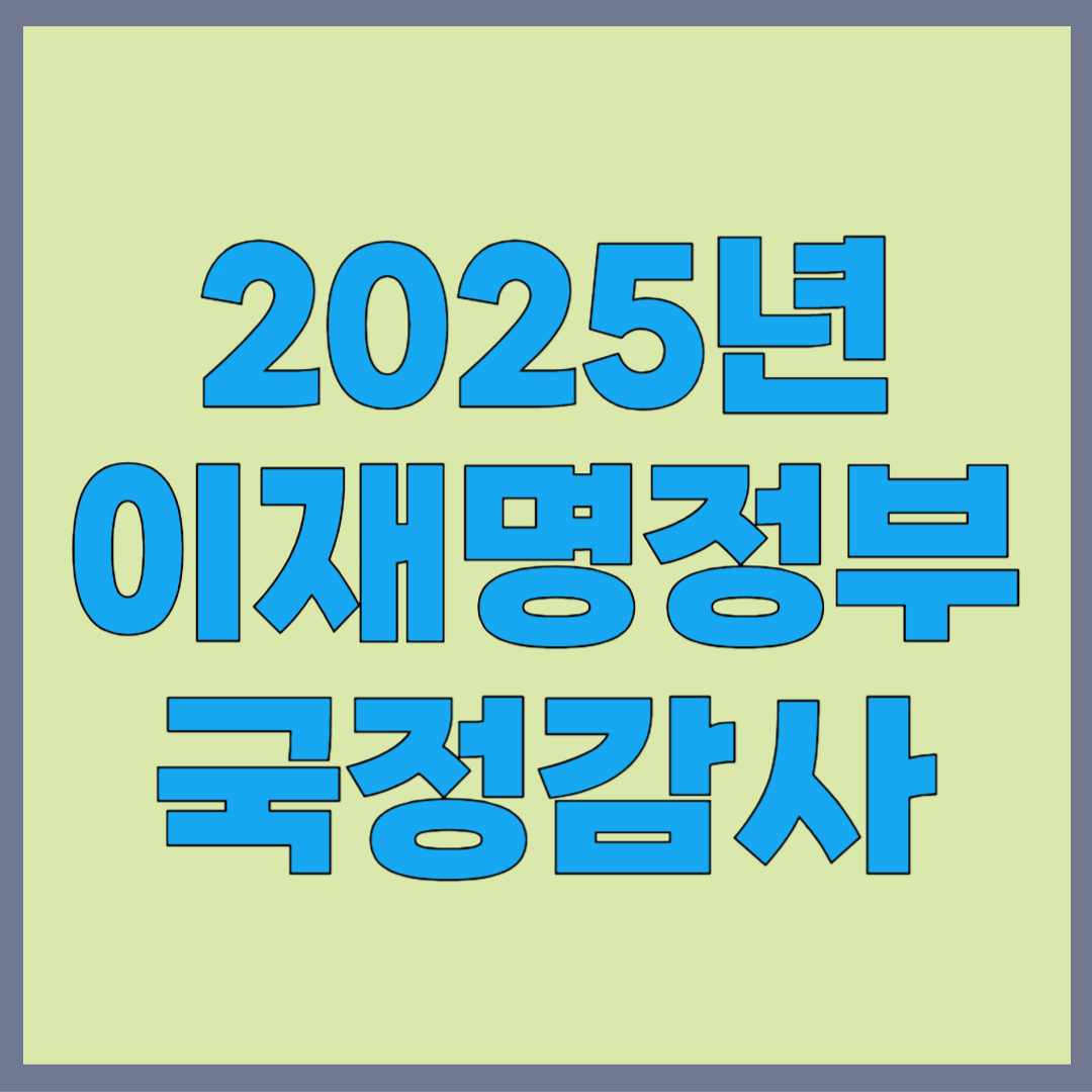 2025년 국정감사
