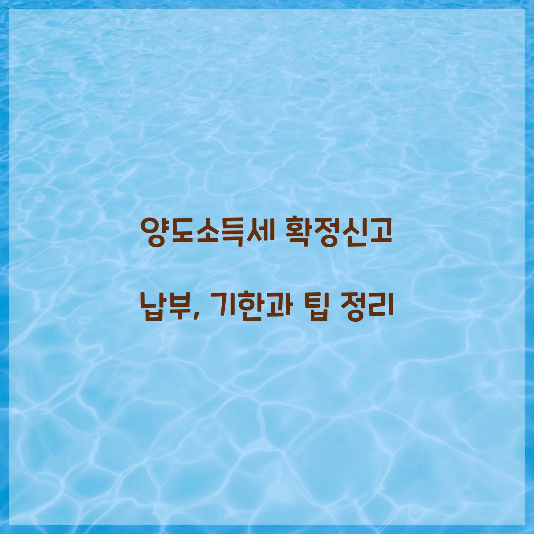 양도소득세 확정신고 납부