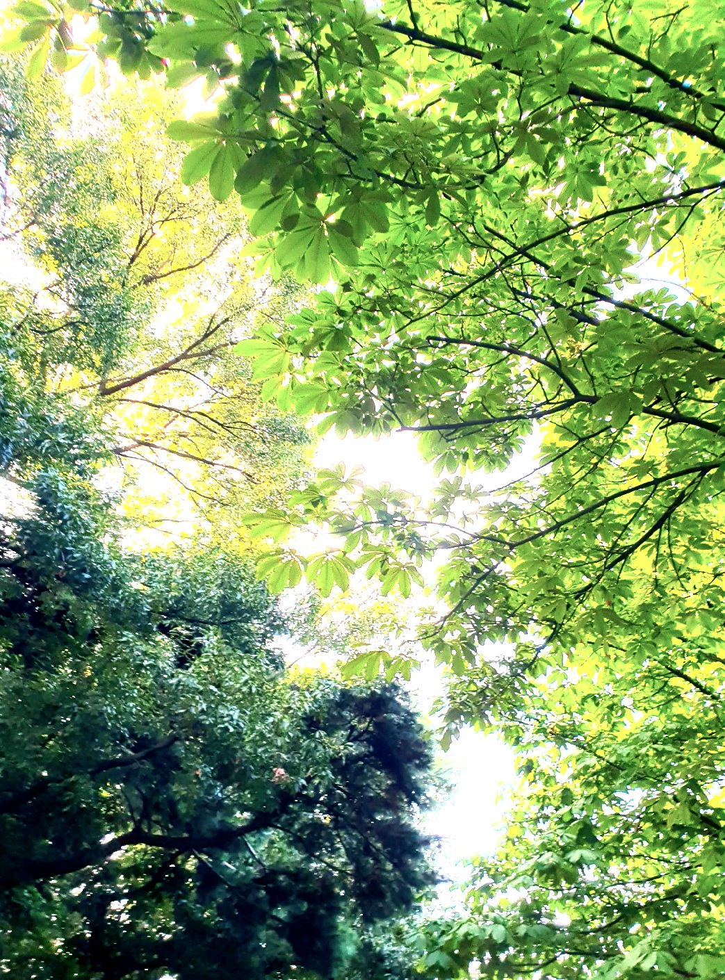 햇살이-좋은-날입니다.