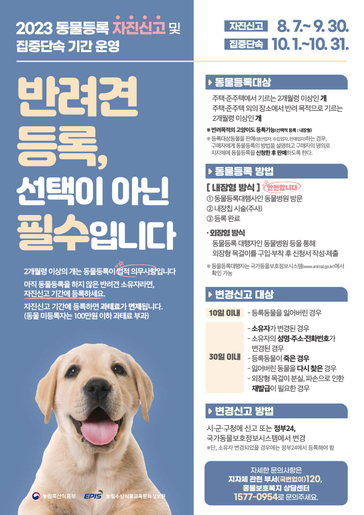 반려견 신고