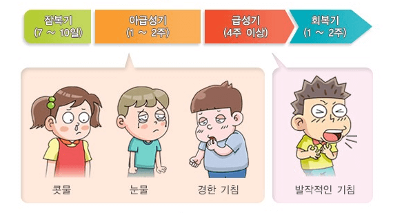 백일해-증상