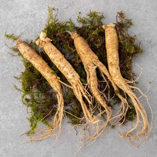 6시내고향 인천 강화 인삼 6년근 5년근 파는 곳 전국 택배 온라인 전화 주문 추천 