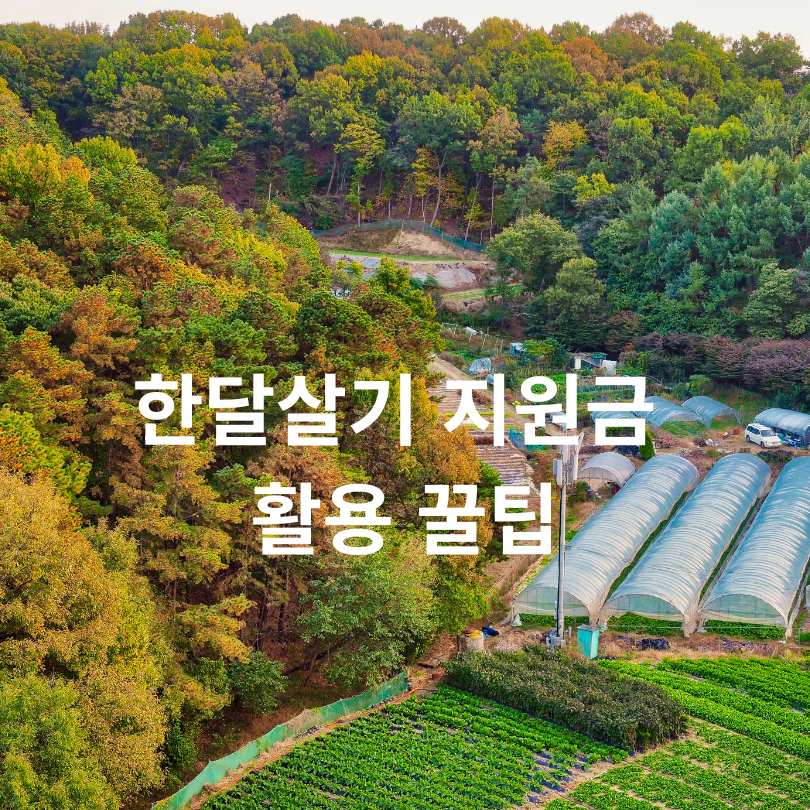 지자체 여행지원금