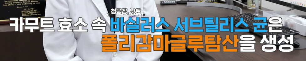 카무트 효소 효능