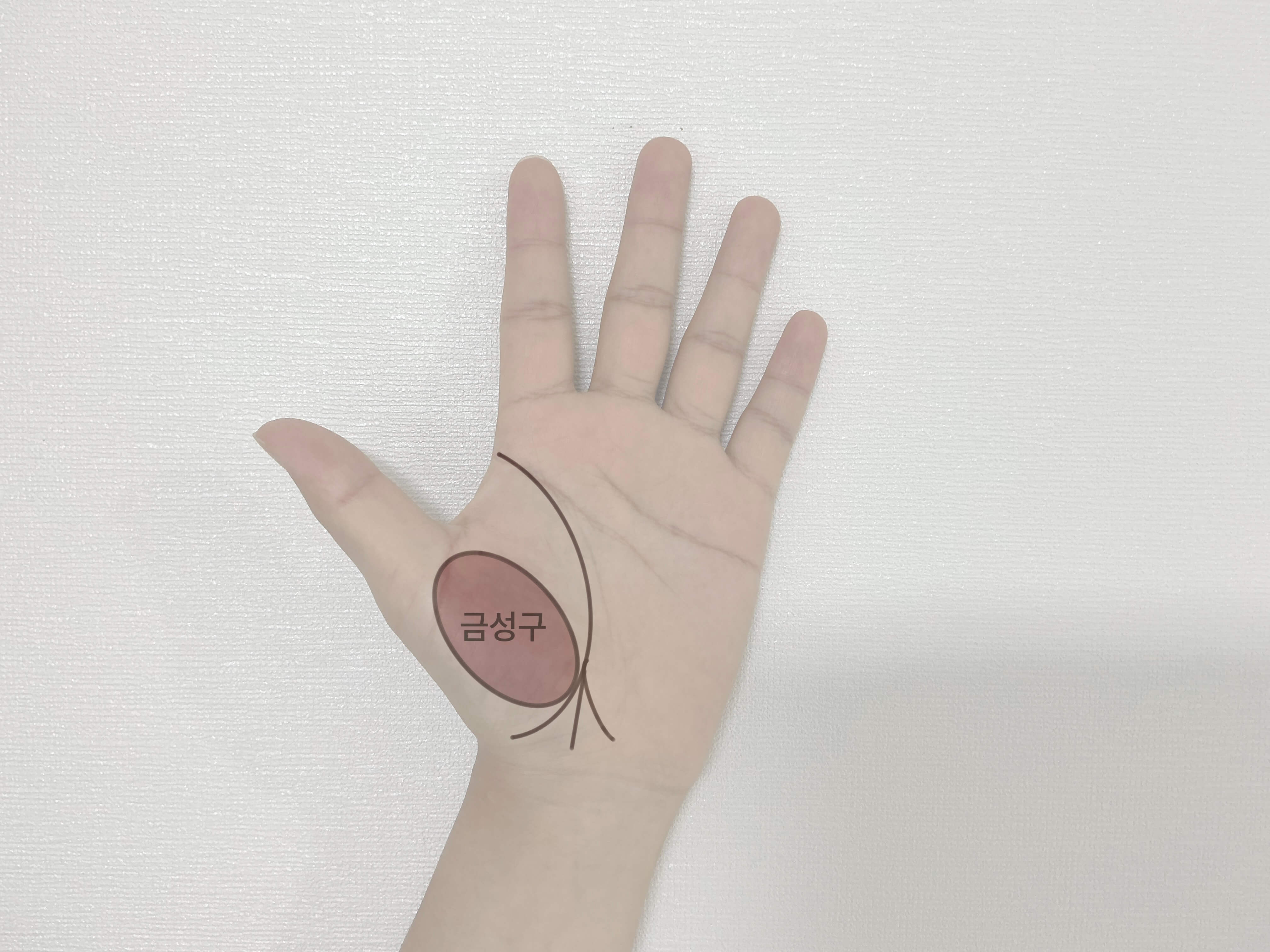 생명선의 종점