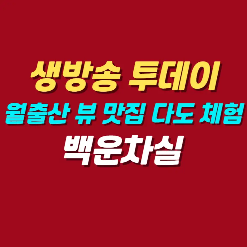 월출산-뷰-맛집-다도-체험-찻집