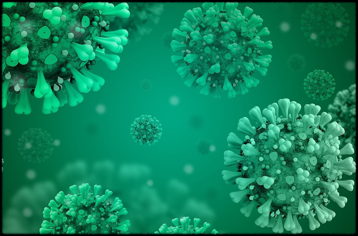 콜라비관련이미지7