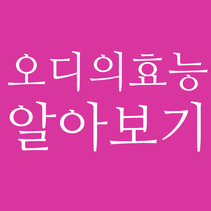 오디의효능