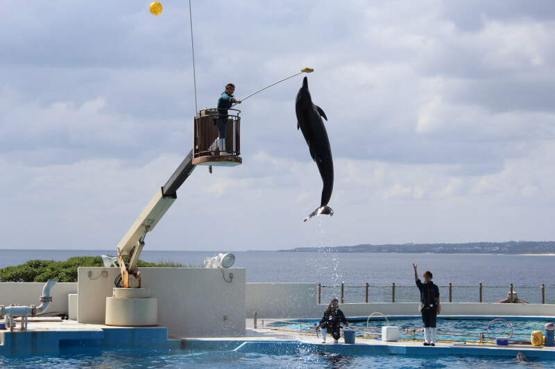 겨울방학 오키나와 여행