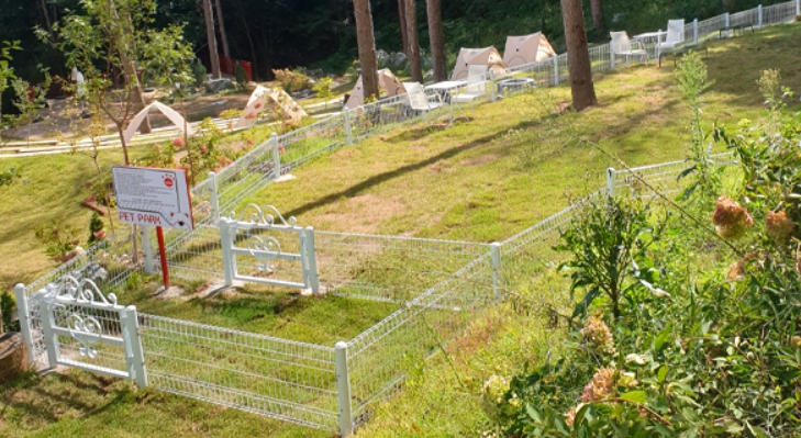 가평/에델바이스/스위스/테마파크