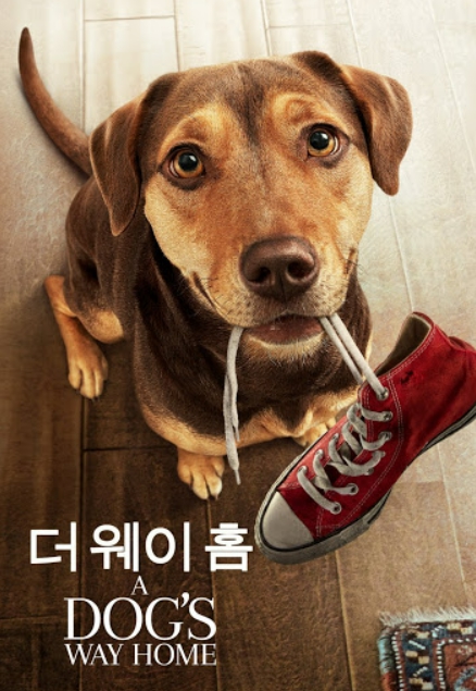 더 웨이 홈 영화 포스터