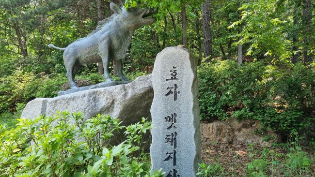 큰 바위 위에 설치한 멧돼지 조각상, 우측에는 바위에 새긴 '효자멧돼지', 조각상 뒤로는 울창한 숲,