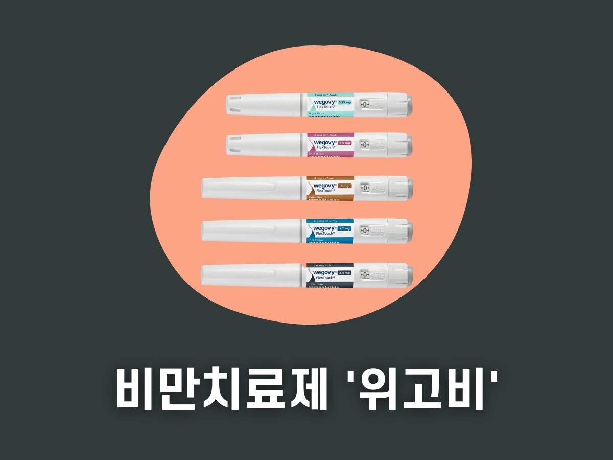 위고비 가격 처방 효과 부작용