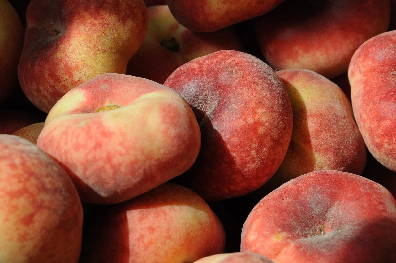 납작 복숭아 철 납작 복숭아 건강 효능