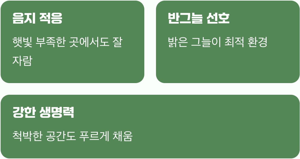 그늘진 곳도 괜찮아, 놀라운 적응력