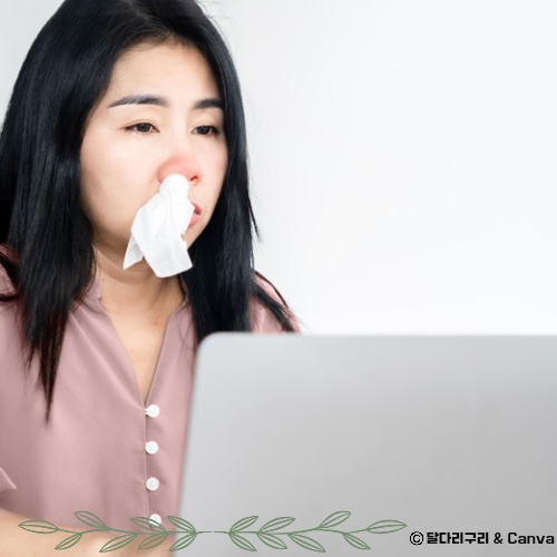 가정용 비염 치료기 추천 치료방법 