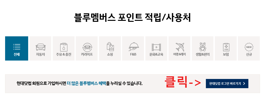 블루 멤버스 포인트 사이트 사진