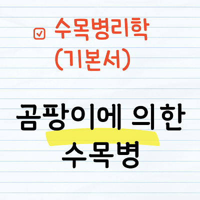 곰팡이에 의한 수목병해