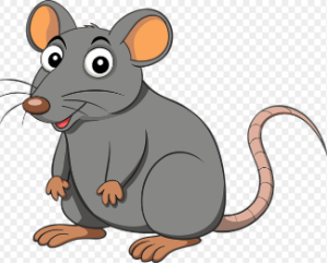 쥐띠 2025년 운세