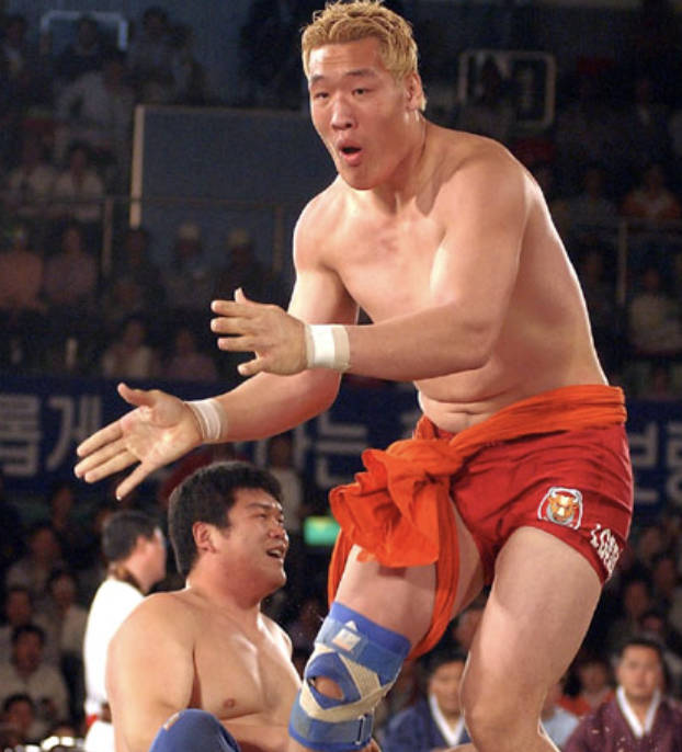 최홍만 씨름 전적