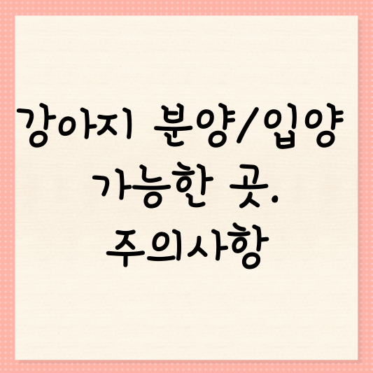 강아지 분양/입양 가능한 곳