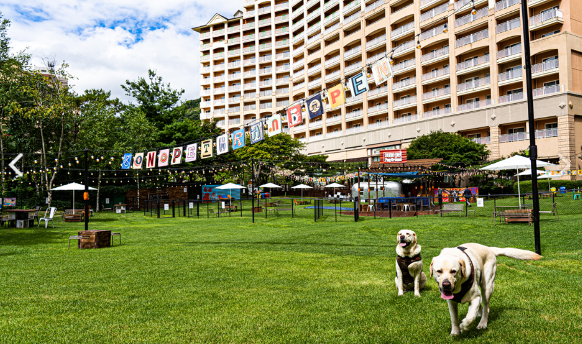 홍천 소노펫클럽앤리조트