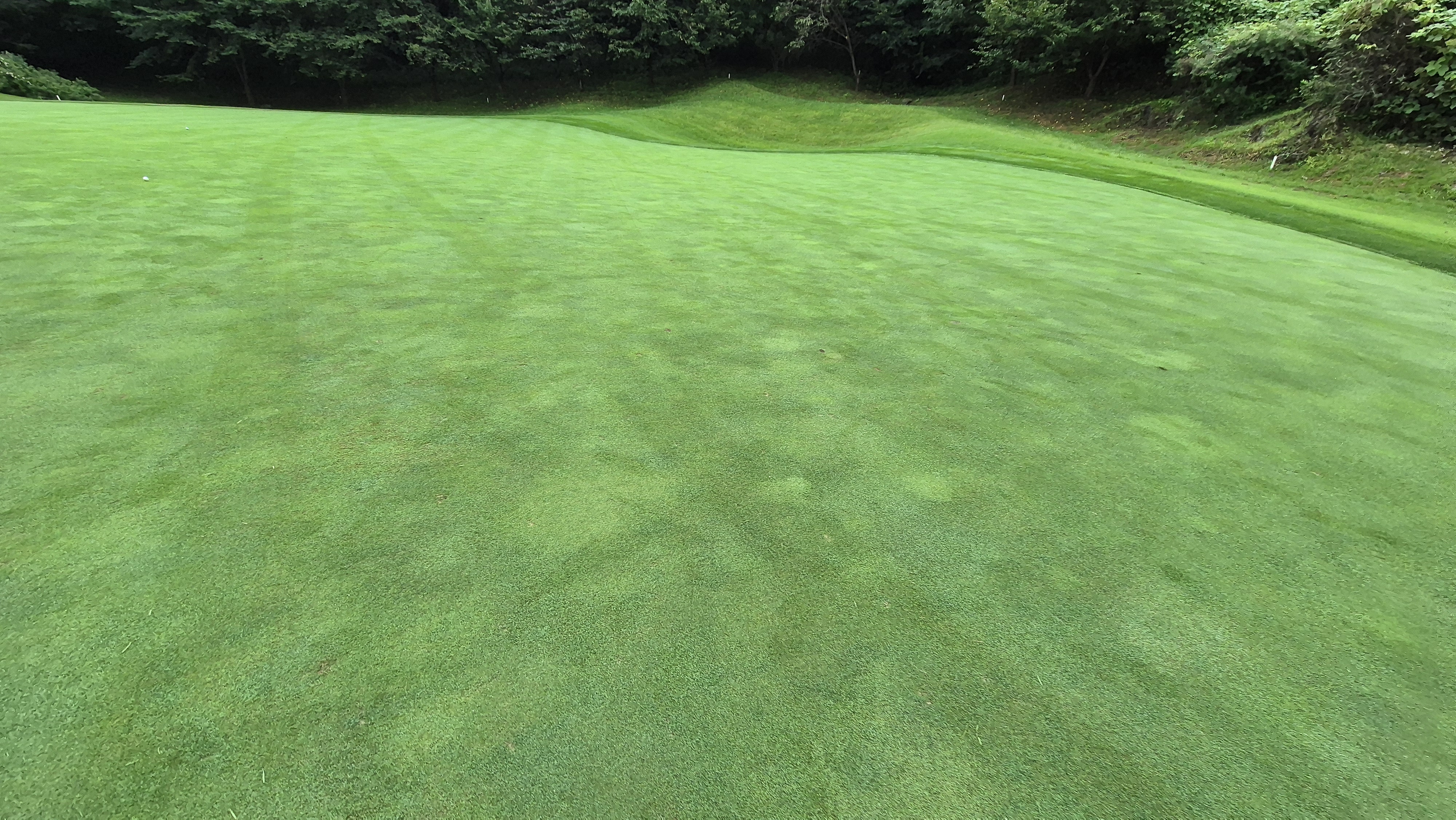 골프존카운티 진천