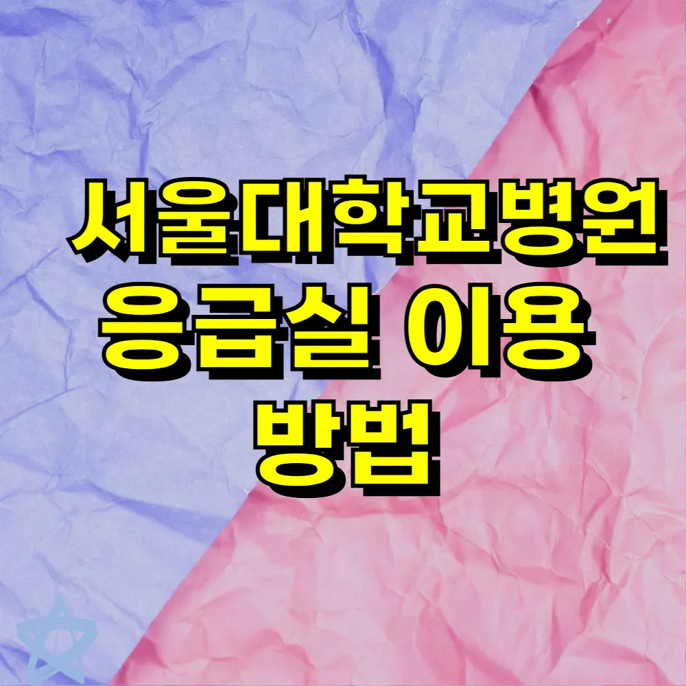 서울대학교병원 응급실 이용 방법