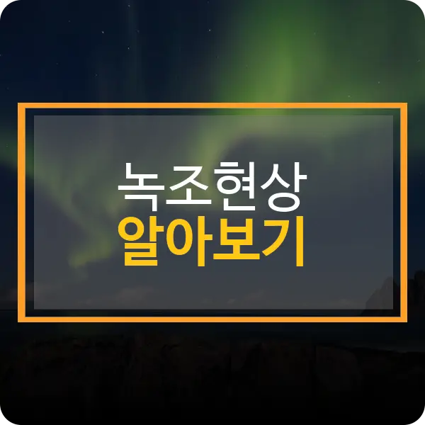 녹조현상