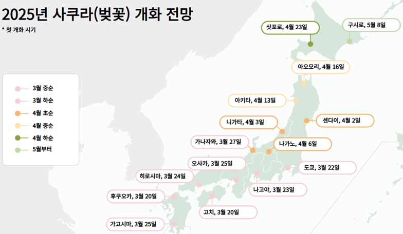 일본 벚꽃 개화 전망
