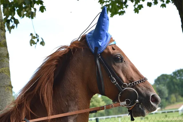 보내 보네 헷갈리는 맞춤법 올바른 표기 완벽 정리_9