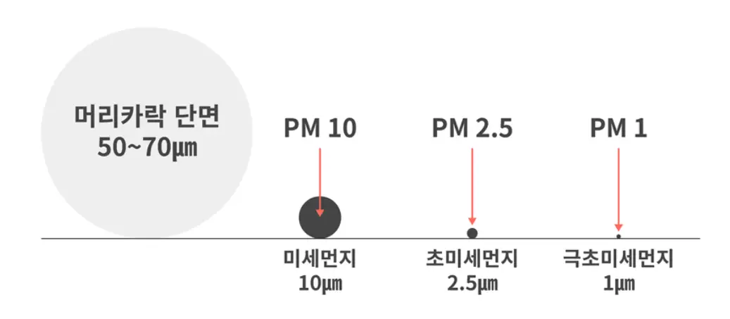 사진5