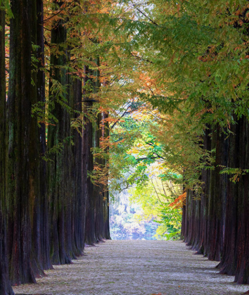 가을-여행하기-좋은-곳-추천