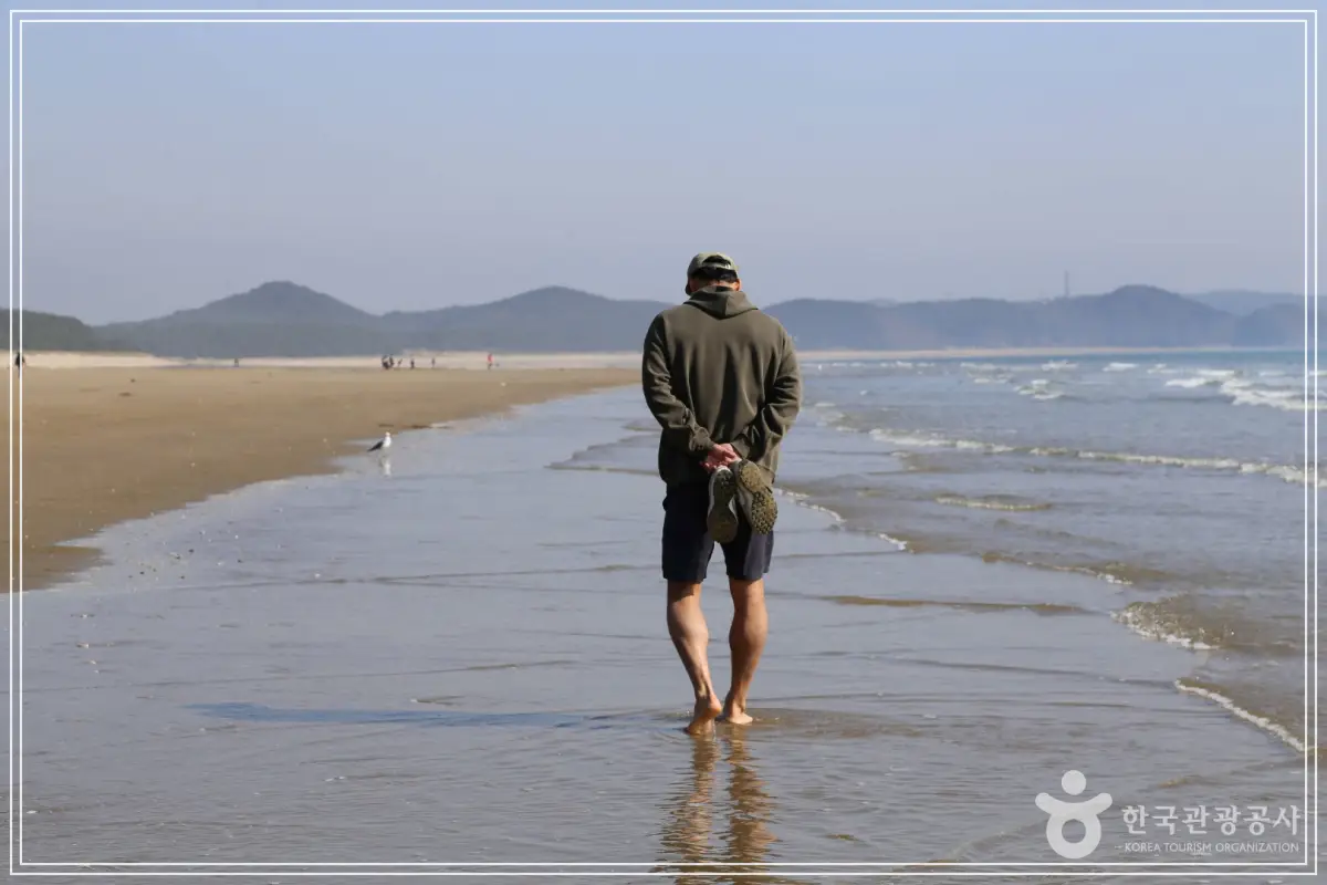 batch_25d62ddf-85cf-4058-8000-9e965f0b50c2